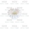 TAPENING-COGWHEEL-WITH-COTTER